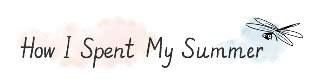 how i spent summer illistration